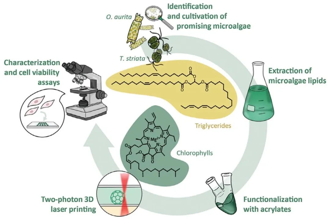 ��ҵ��̬  |  ΢������ϵĹ�̻� 3D ��ӡ��������ԭ�ϵ��߷ֱ��ʹ�����